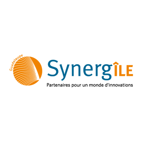 synergile-500×500